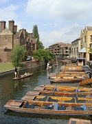 28th Jul 2011 - Punting on the River Cam in Cambridge.  