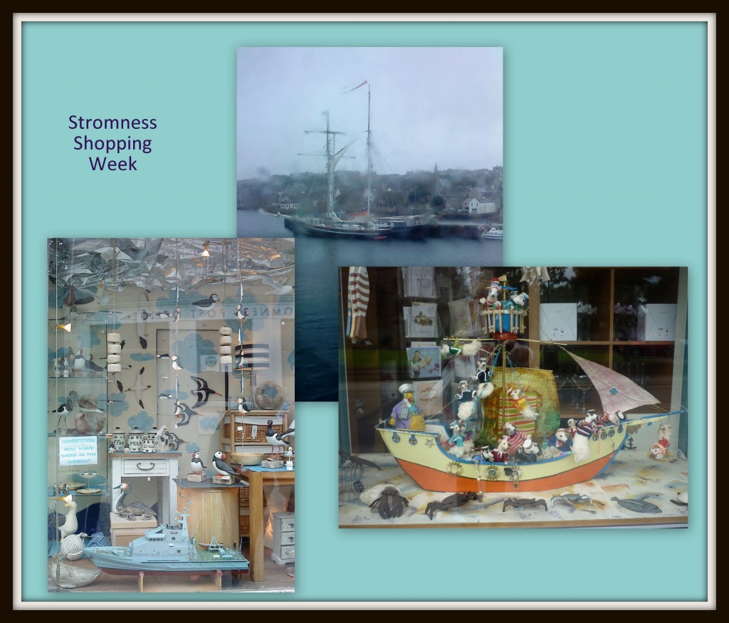 Stromness Shopping Week by sarah19