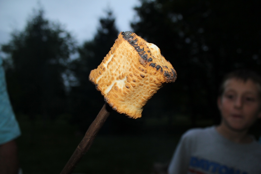 The worlds most perfectly toasted marshmallow by mandyj92