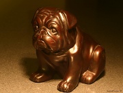 31st Jul 2011 - Bronze Pug