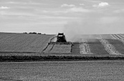 30th Jul 2011 - Harvest