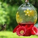 hummingbird by mjmaven