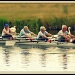 Silver Scullers by judithg