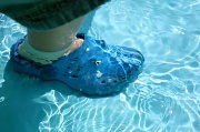 30th Jul 2011 - Crocs In The Pool