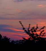 1st Aug 2011 - August evening sky