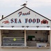 Sea Food, Seagull, Seaside, Go! by rich57