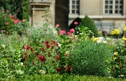 2nd Aug 2011 - Musee Carnavalet gardens