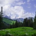 Aspen Meadow by twofunlabs