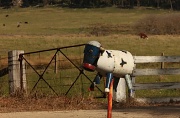 3rd Aug 2011 - Rural letterbox