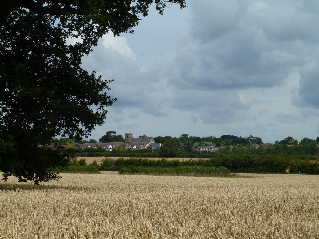 Village view by shepherdman