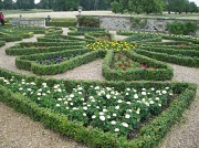 3rd Aug 2011 - The Parterre at Charlecote. 