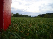 21st Apr 2010 - Tiger Worm's View of the Golf Course