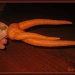 Deformed Carrot by vernabeth