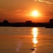 Swan at sunset by dulciknit