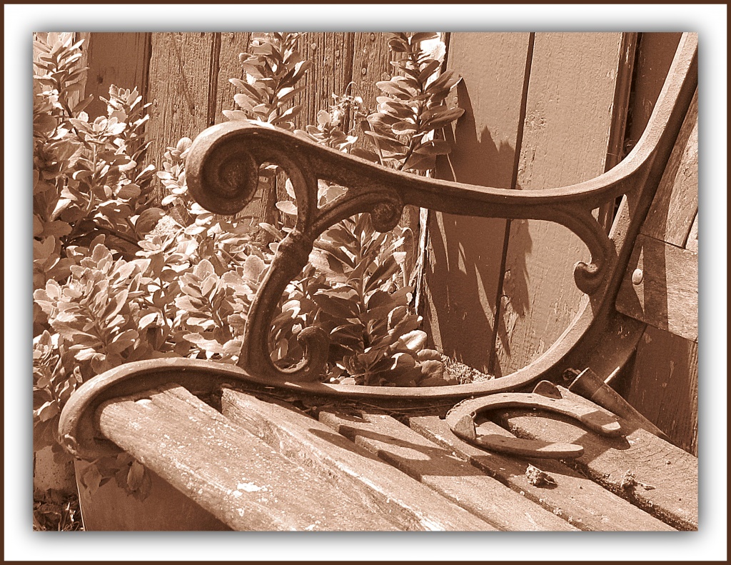 Old Barn Bench by glimpses