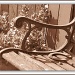 Old Barn Bench by glimpses