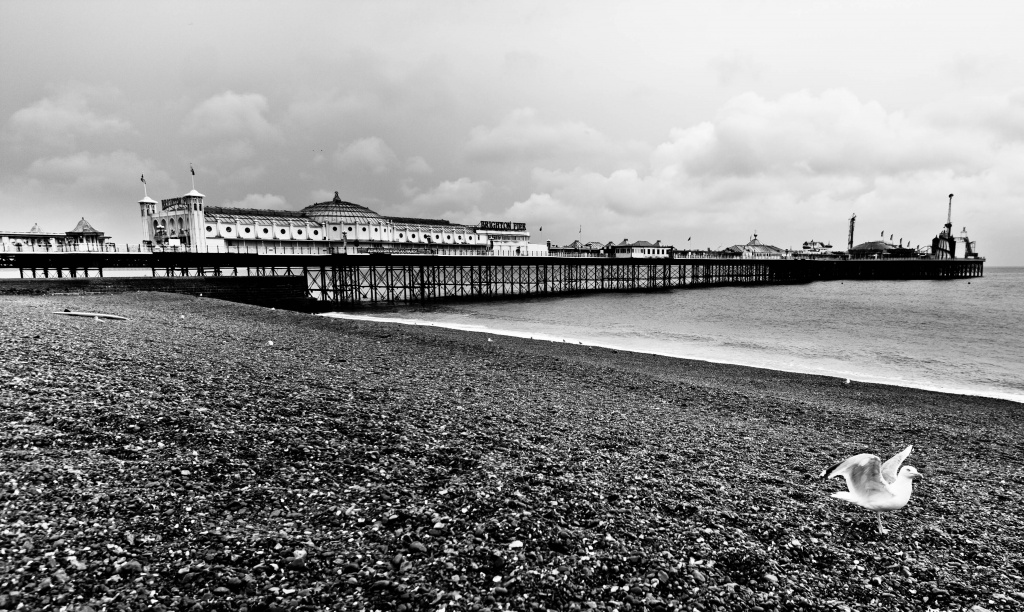 Brighton Pier in black and white by vikdaddy