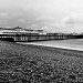 Brighton Pier in black and white by vikdaddy