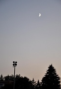 4th Aug 2011 - Crescent Moon