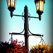 Lamp posts by madamelucy