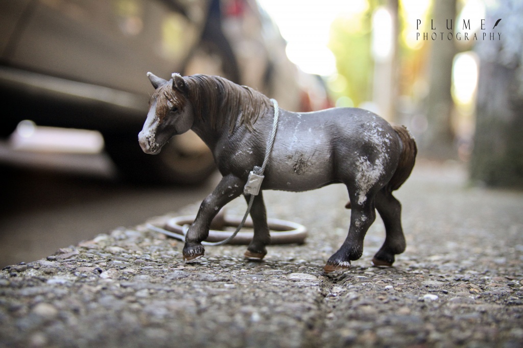 Street horse by orangecrush
