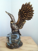 30th Jul 2011 - Pinnacle Award