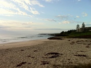 7th Aug 2011 - Shellharbour North Beach