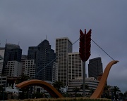 6th Aug 2011 - San Francisco