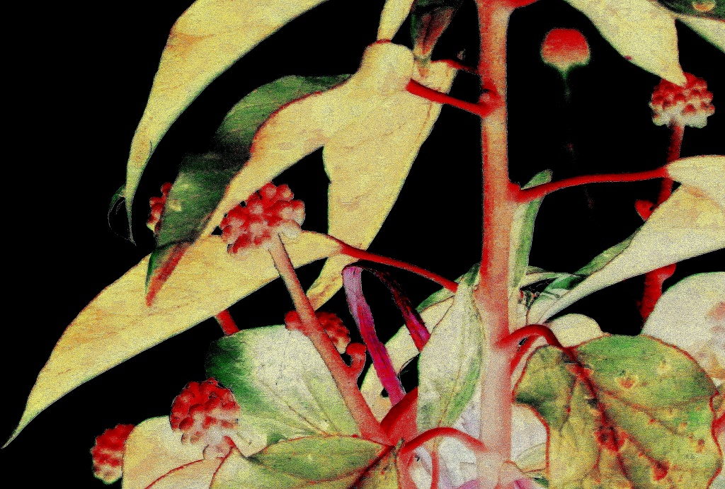 Ivy print by dulciknit