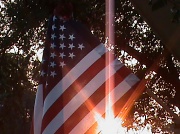 7th Aug 2011 - Old Glory