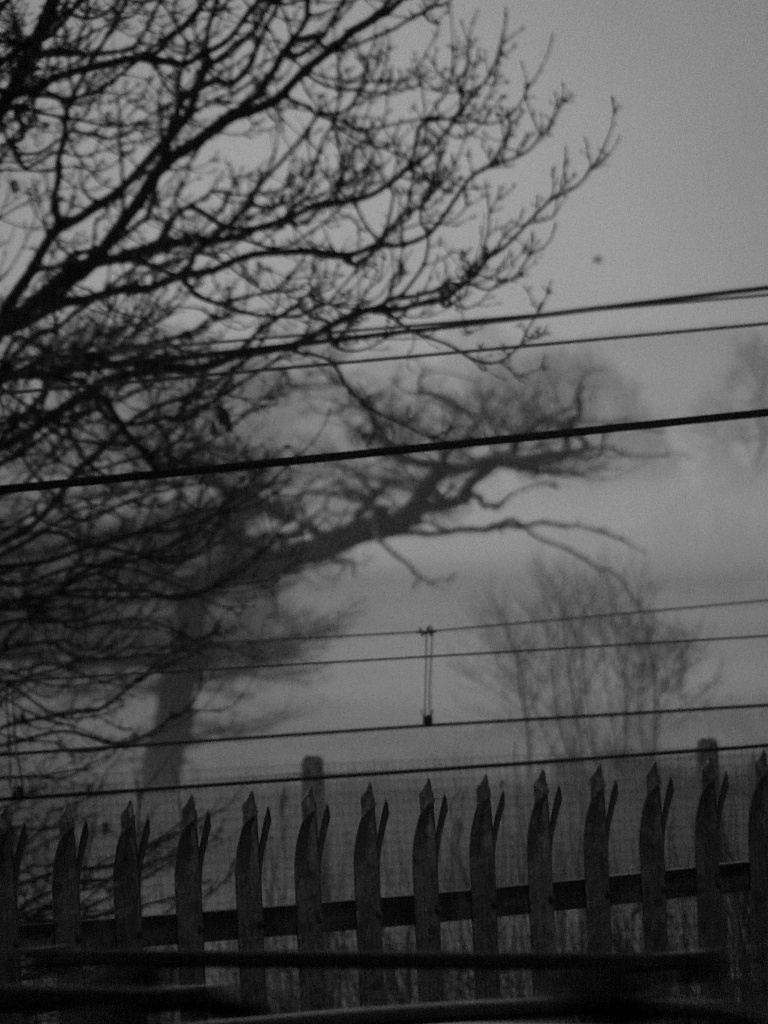 Misty overhead lines by sabresun