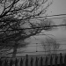 Misty overhead lines by sabresun