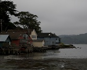 7th Aug 2011 - Tomales Bay