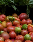 6th Aug 2011 - Heirloom Tomatoes