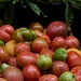 Heirloom Tomatoes by eudora