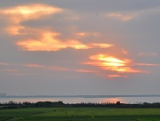 8th Aug 2011 - Sunrise over Albufera