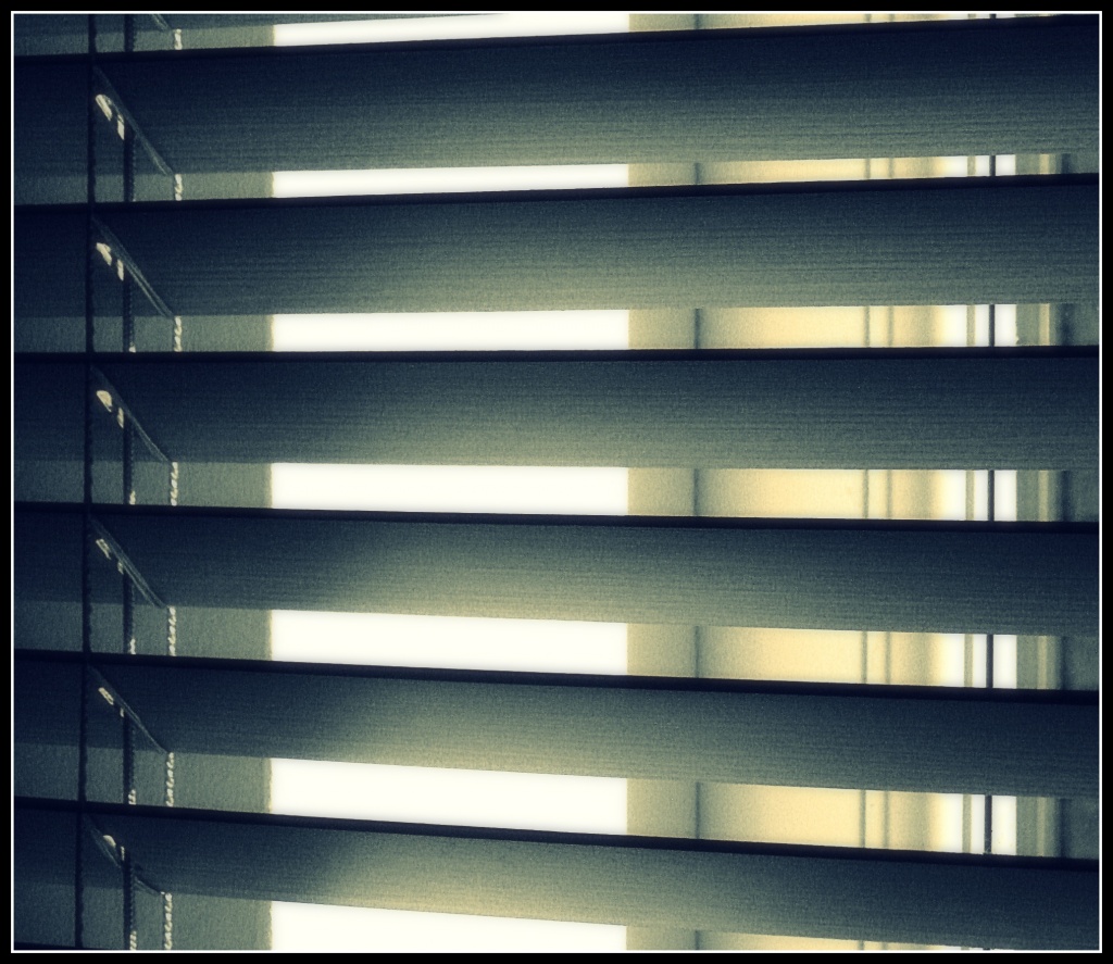 Sunlight through the blinds - HappyAugust #8 by sarahhorsfall