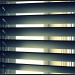 Sunlight through the blinds - HappyAugust #8 by sarahhorsfall