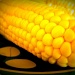 Sweet Corn by allie912