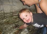 1st Jul 2011 - Aquarium with Aunt Meres