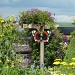 English Country Garden by shepherdman