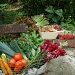 fresh vegetables, rasberries & flowers from a pick up farm by parisouailleurs