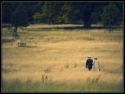 10th Aug 2011 - Heading to the folly