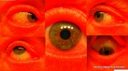 11th Aug 2011 - red eye