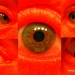 red eye by rrt