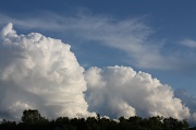 8th Aug 2011 - Fluffy clouds