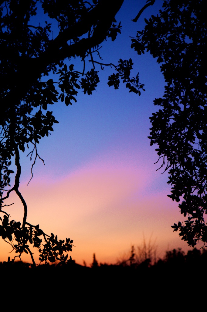 Window on sunset by ldedear