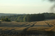 10th Aug 2011 - The field after the harvest
