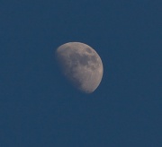 23rd Apr 2010 - Blue Moon ....