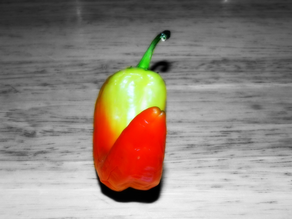 Picked a Pepper  by mej2011